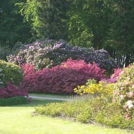 Daire Haus Bernstein 1 *